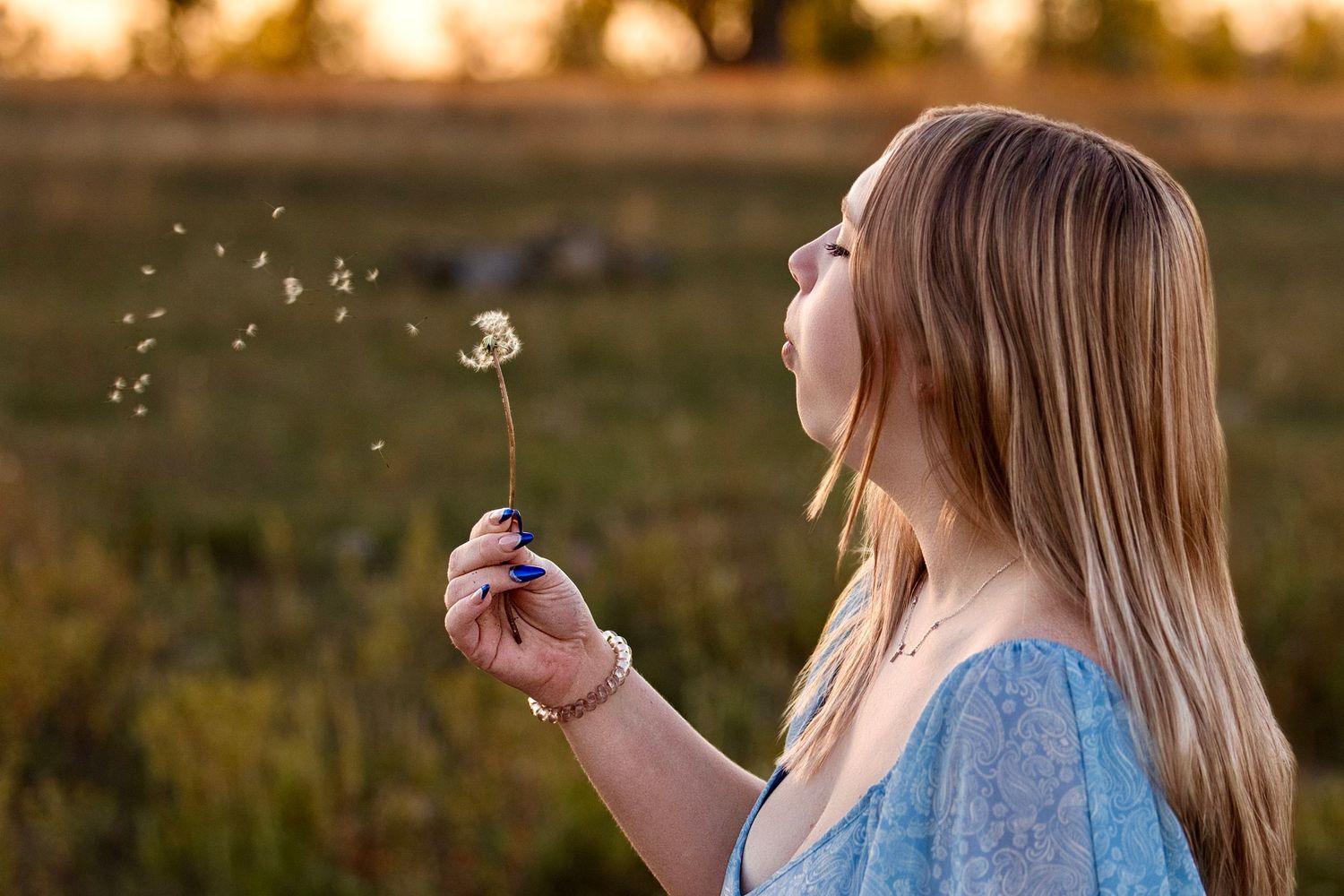 A person in a blue dress blows dandelion seeds at golden hour in a grassy field during sunset.