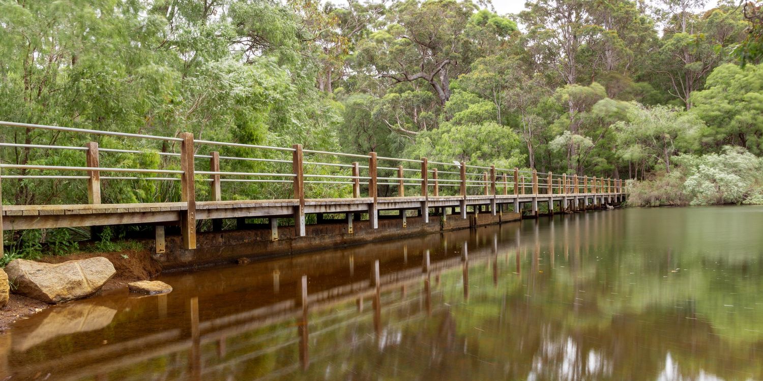 A wooden boardwalk extends over a tranquil pond surrounded by green forest scenery.