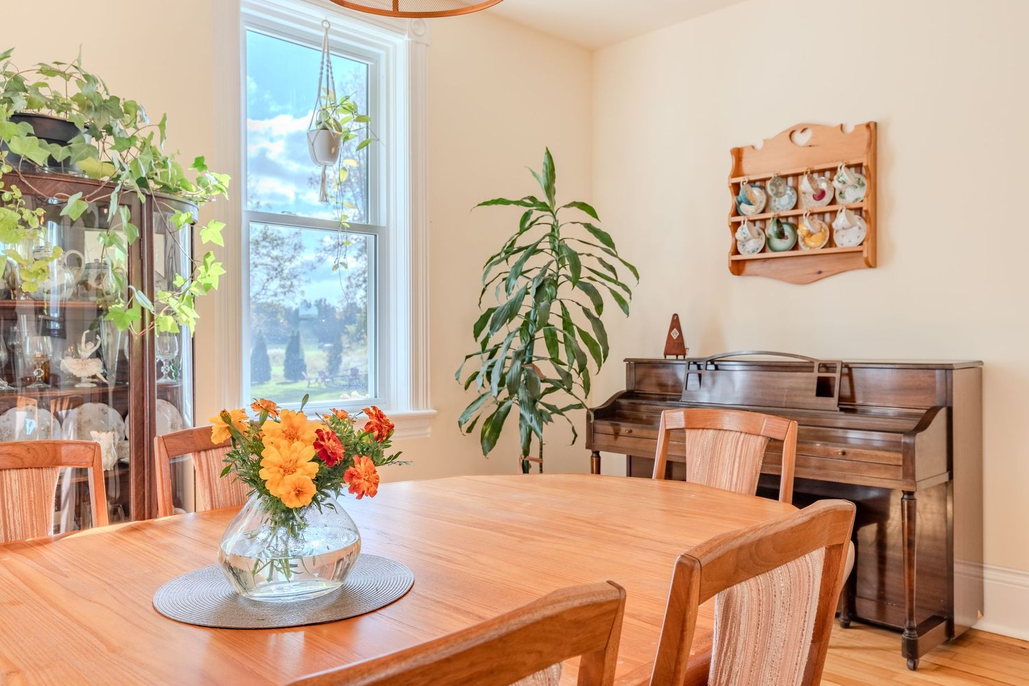 Best estate photography, Barrie, Richmond Hill, Orillia, Drone, 3D iGuide Tour, Floor plan, TikTok, instagram