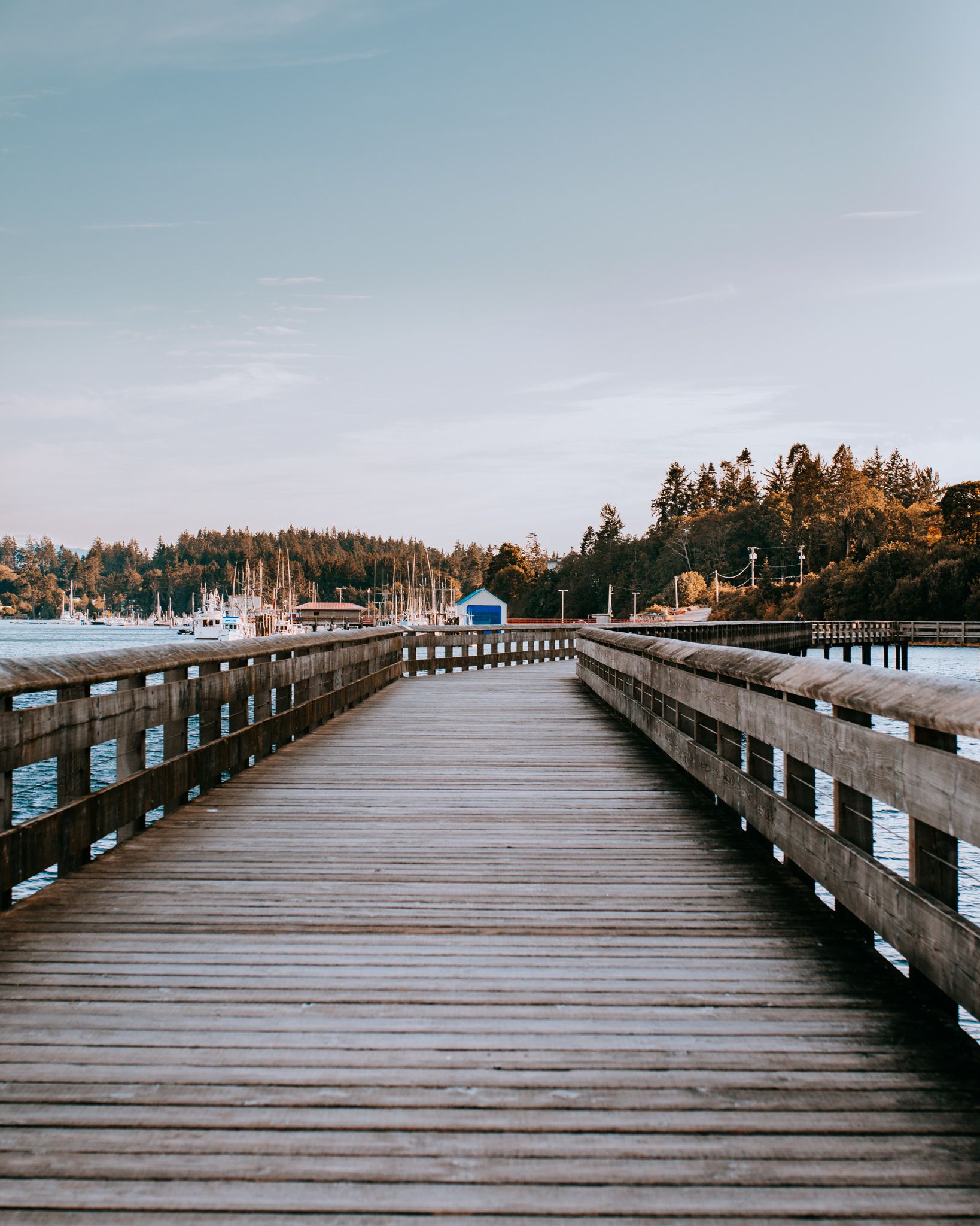 Long wooden pier stretching into the distance with water and trees visible on both sides.