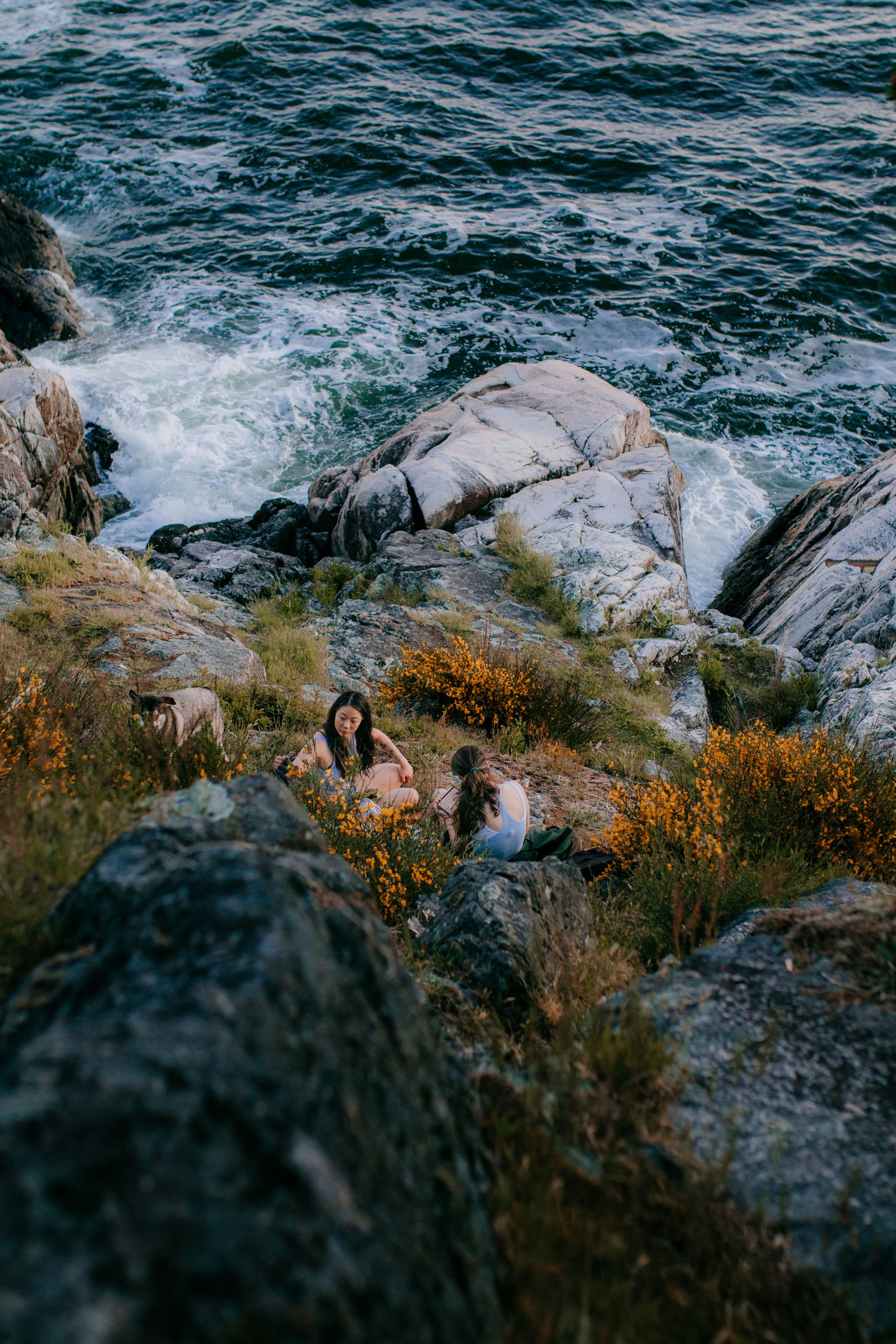 Rocky coastal scene with crashing waves and autumn vegetation.