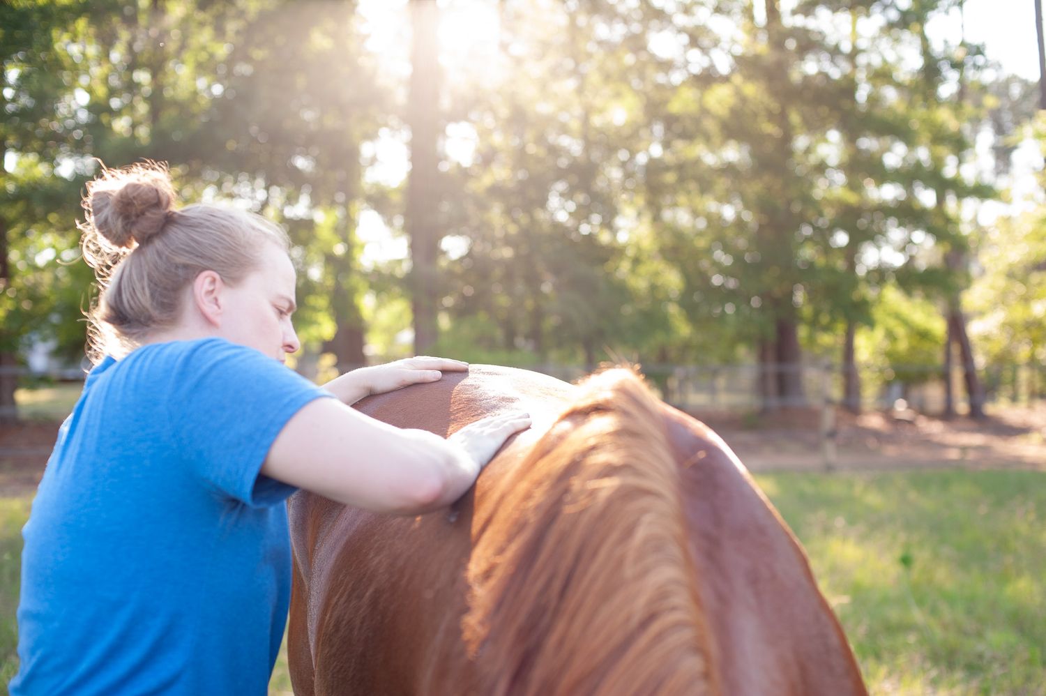 Two horses stand together on hilltop during golden hour.