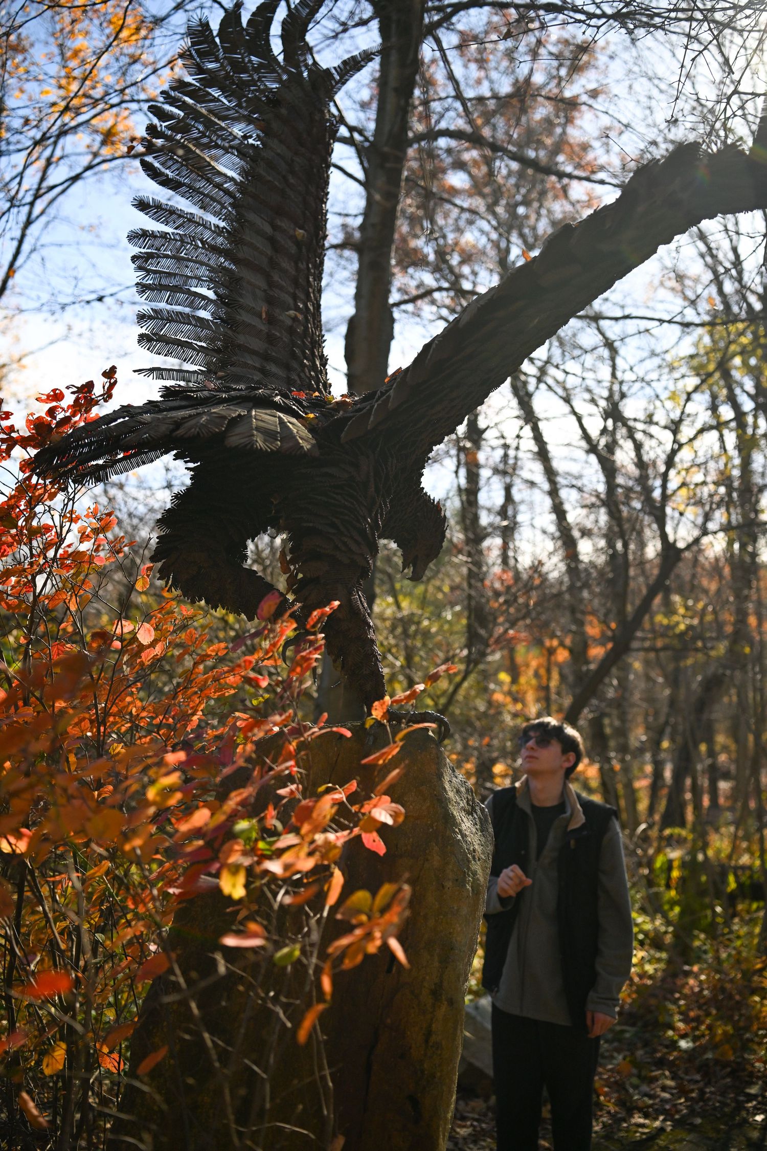 A photograph of a young man looking up at a large metal sculpture of a bird in flight, with the wings stretched up wide over his head