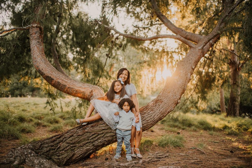 A family poses together on a curved tree trunk in a sun-dappled forest setting.