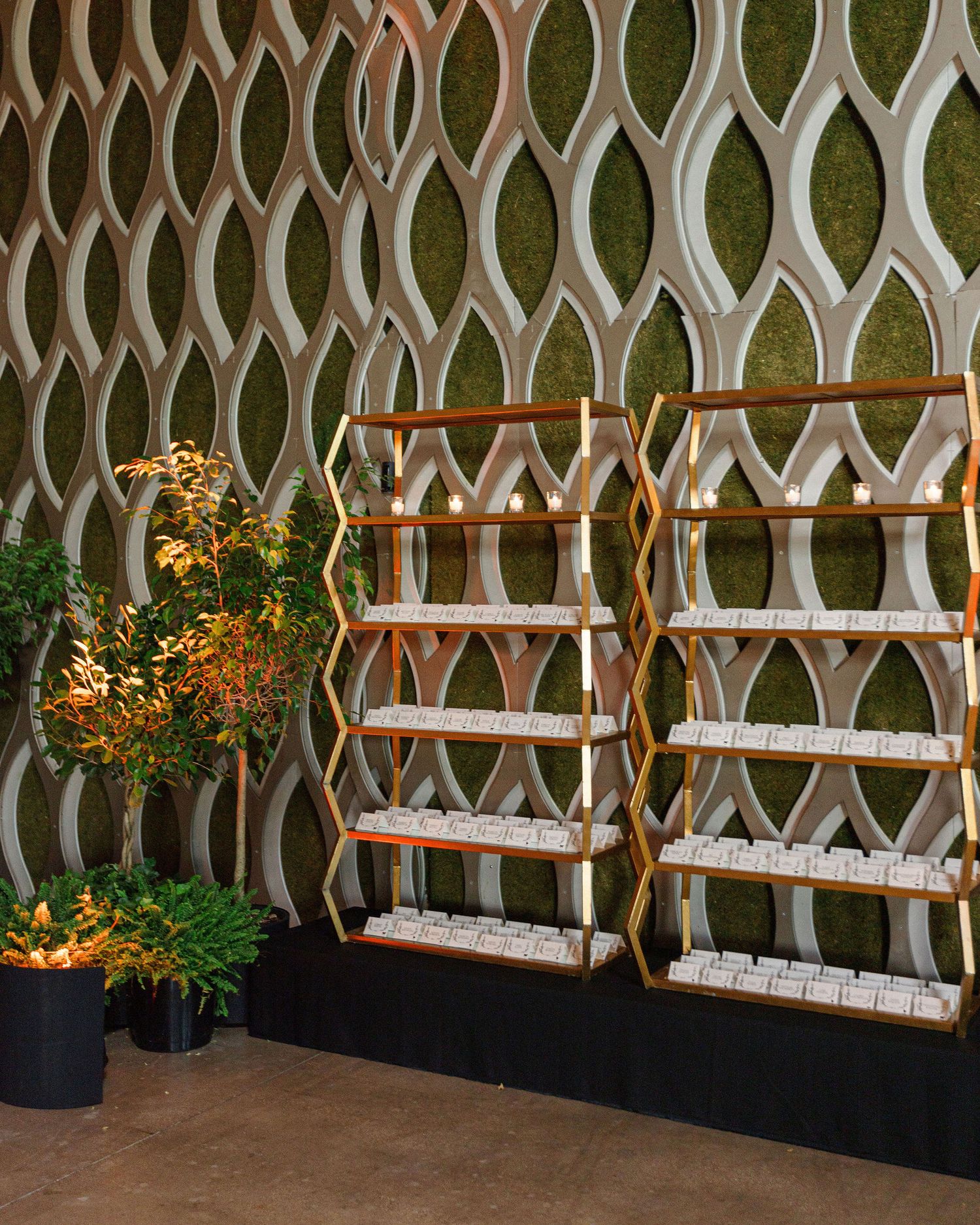 Modern geometric wall display with wooden shelving and decorative plants.