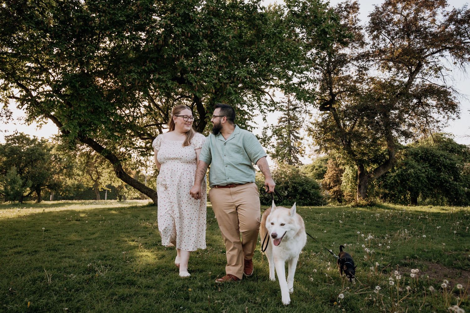 A couple walks their white dog through a sunlit park on a summer evening.