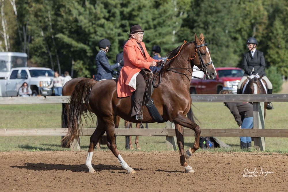 A person riding a brown horse in a sandy arena while practicing equestrian skills.