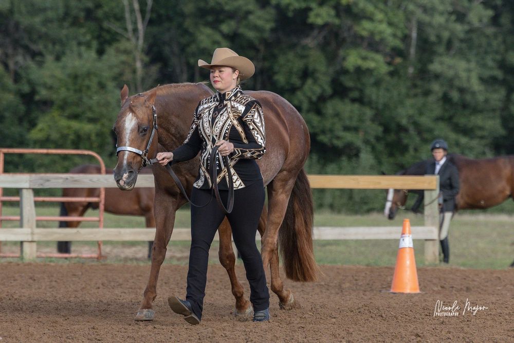 A rider leads a horse through cones in a western training arena during an equestrian competition.