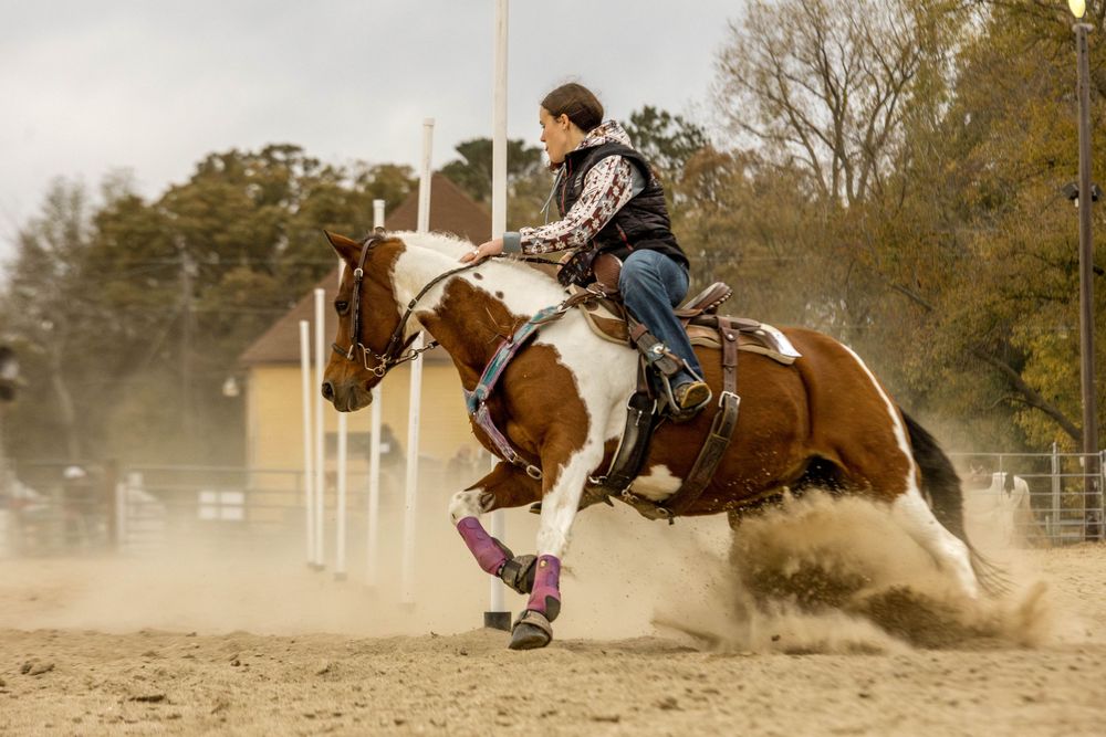 An equestrian athlete rides a paint horse through a barrel racing course in an outdoor arena.