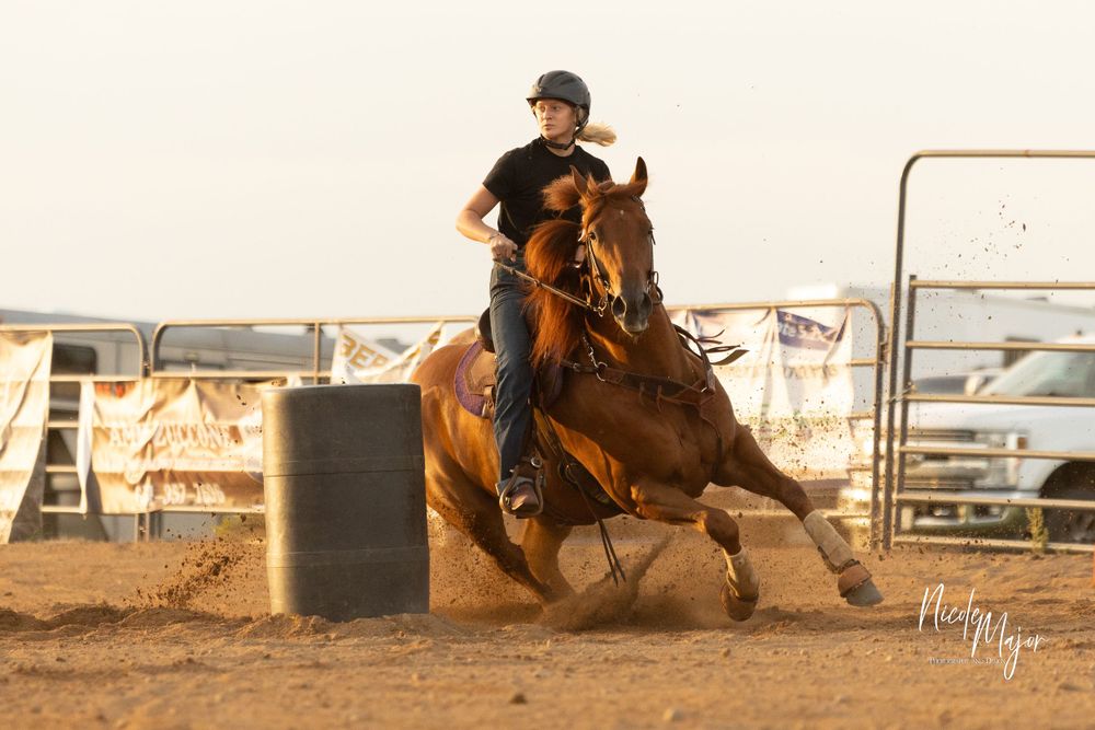 Horse makes sharp turn around barrel during sunset rodeo competition.