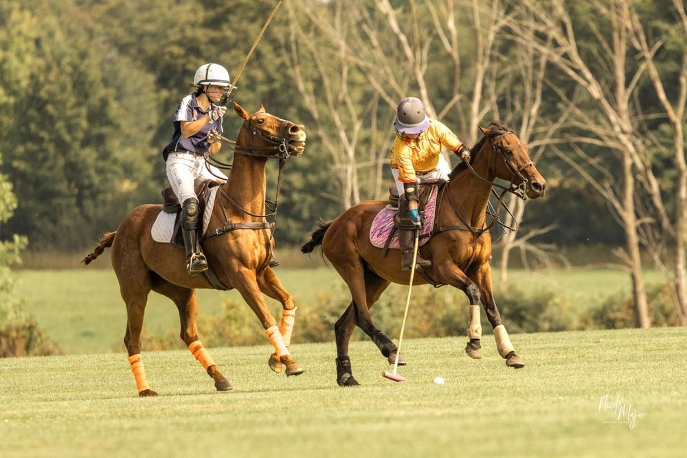 Polo players maneuver their horses during a competitive match on a sunny grass field.
