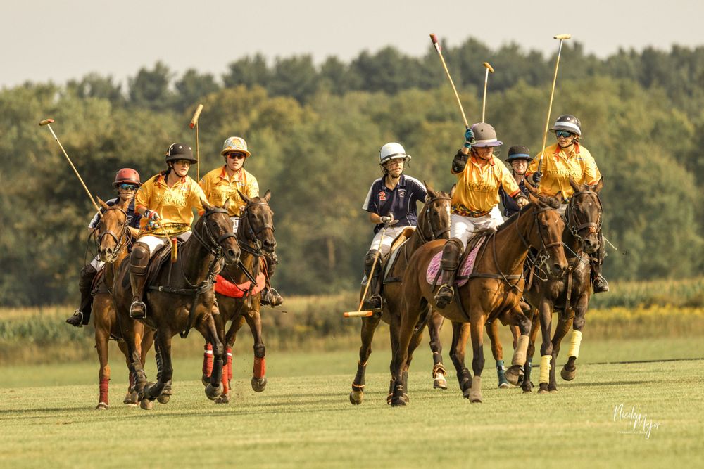 Polo players in yellow and white jerseys competing on horseback during a match on a green field.