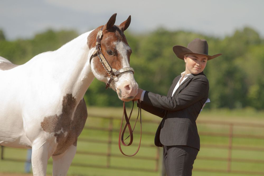Handler in western show attire presenting a white and brown paint horse in an outdoor arena.