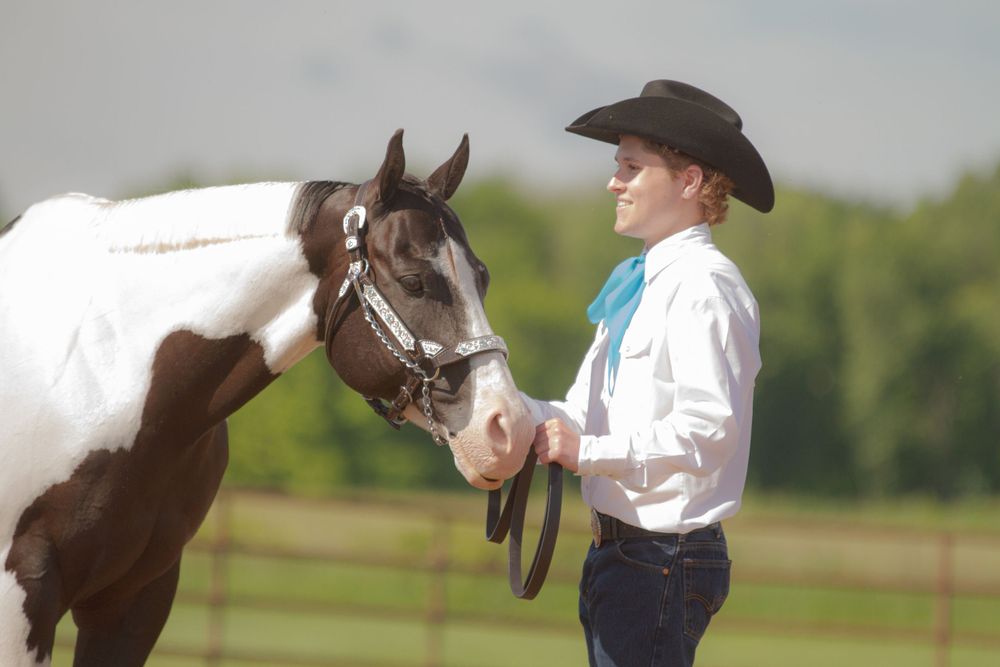 Paint horse with brown patches being shown by a handler in western show clothing.