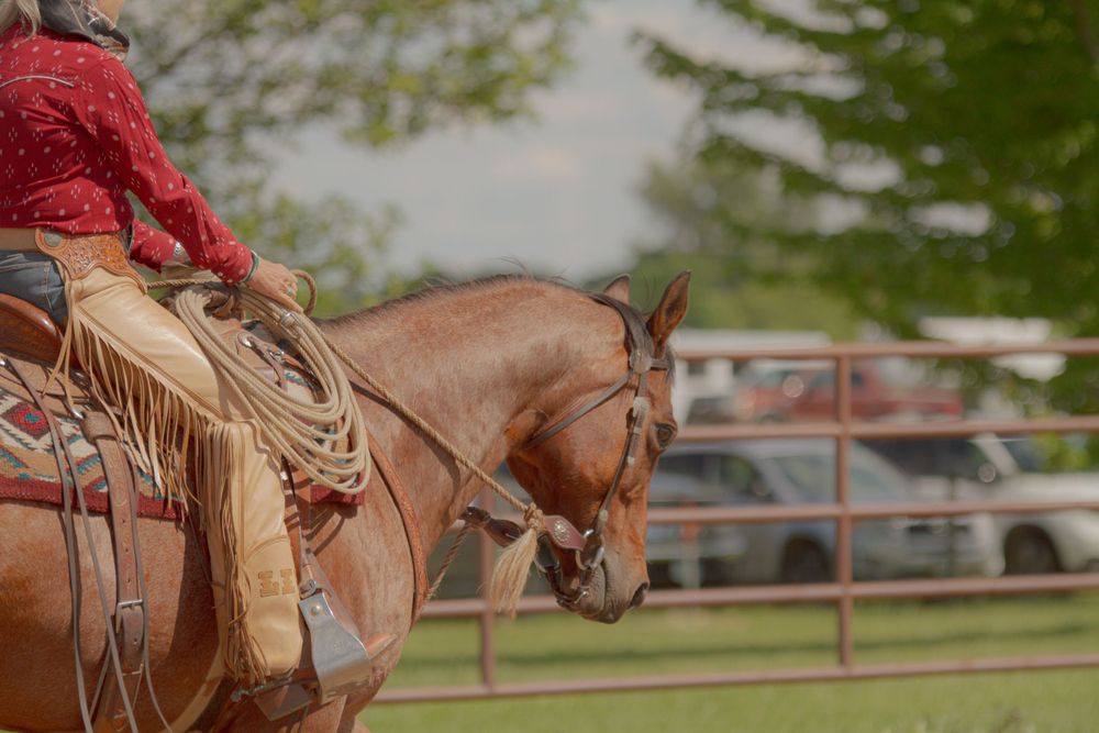 Close-up view of a western saddle and tack on a chestnut horse in a fenced arena.