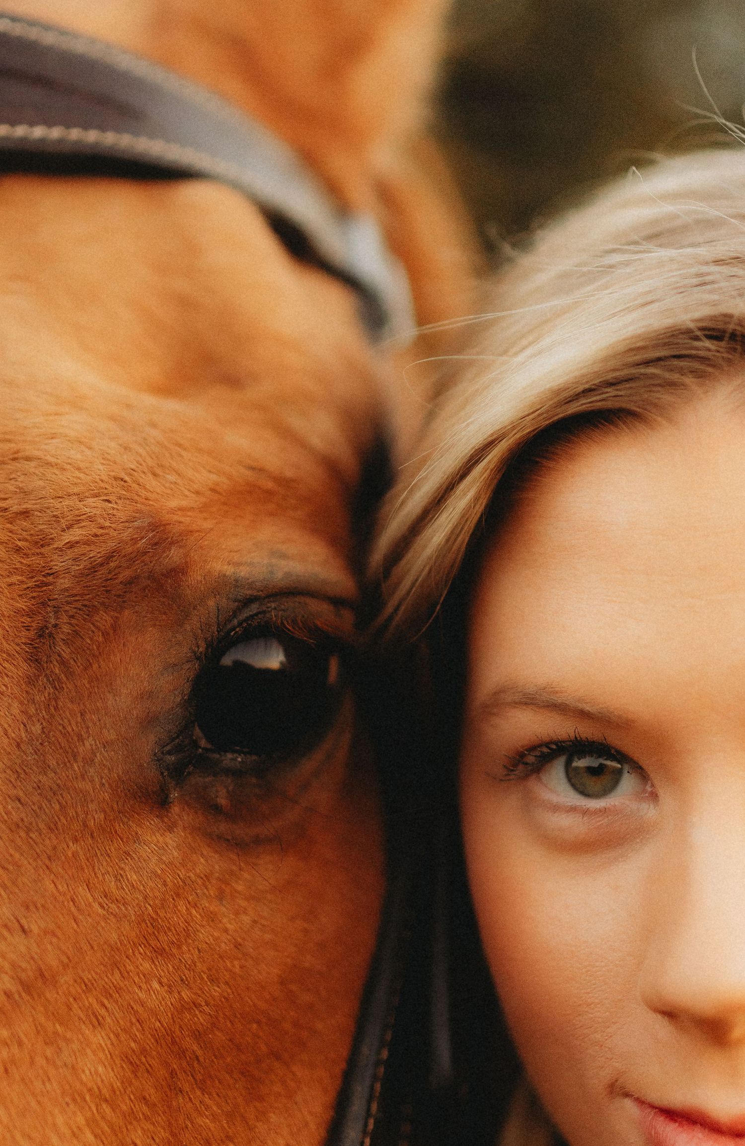 Senior girl and horse eye to eye