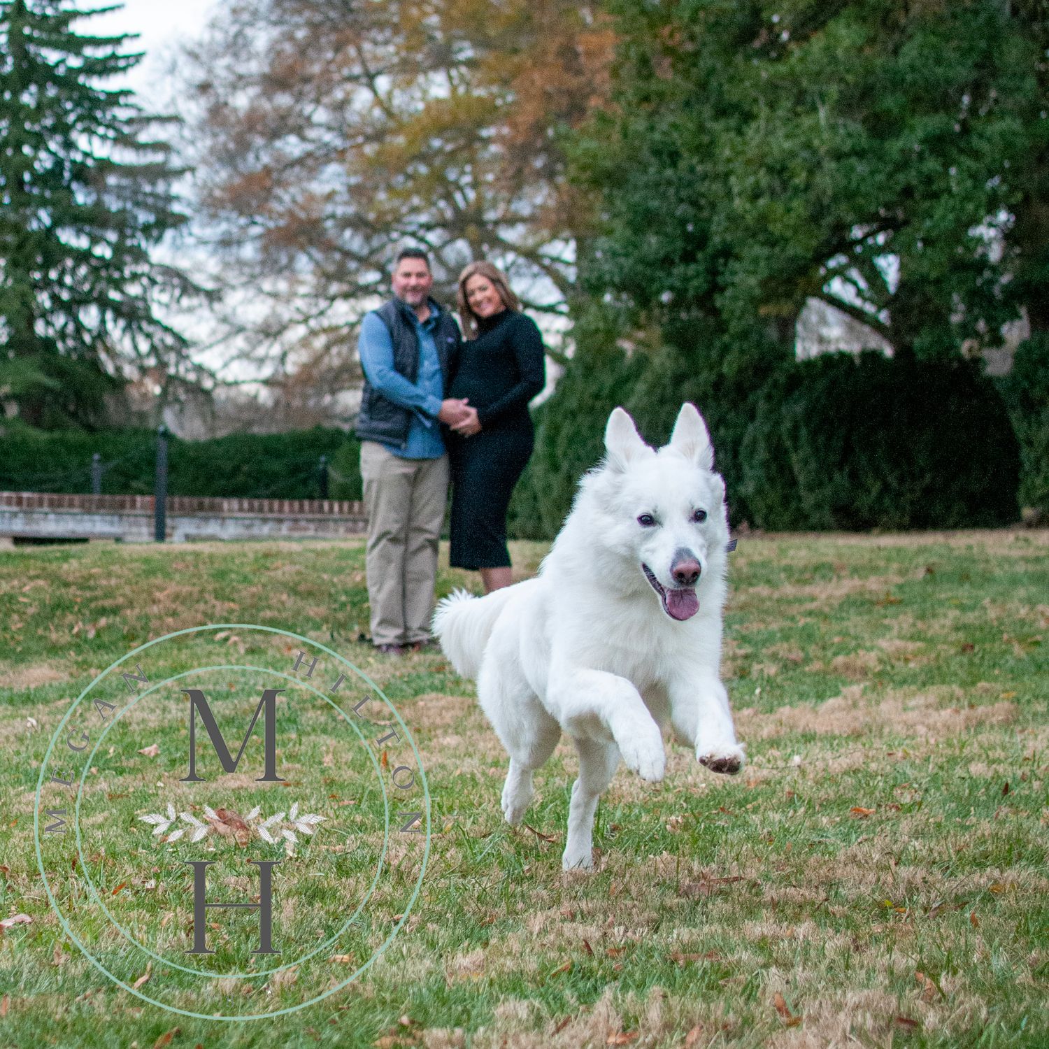 Pup running with a couple standing behind photo