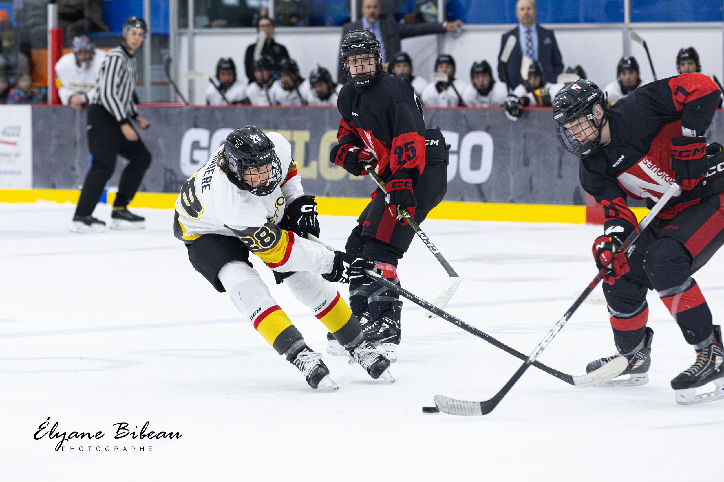 Hockey players from opposing teams compete for puck control during fast-paced game action.