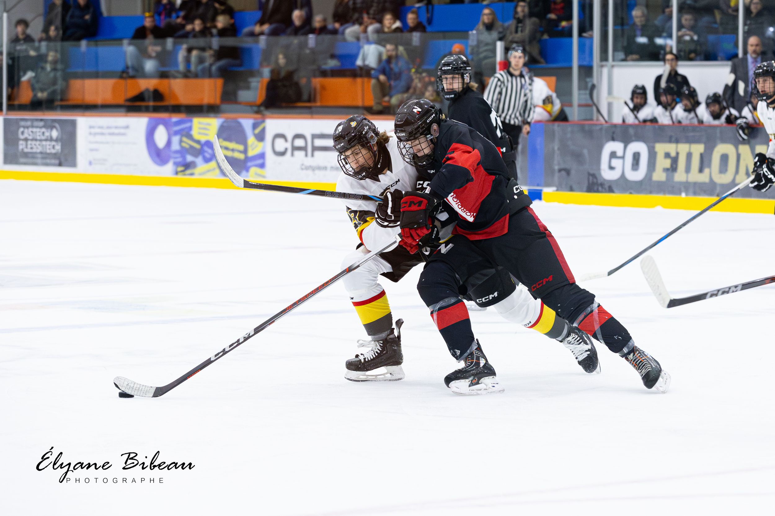 Two hockey players battle for possession along the boards during competitive match.