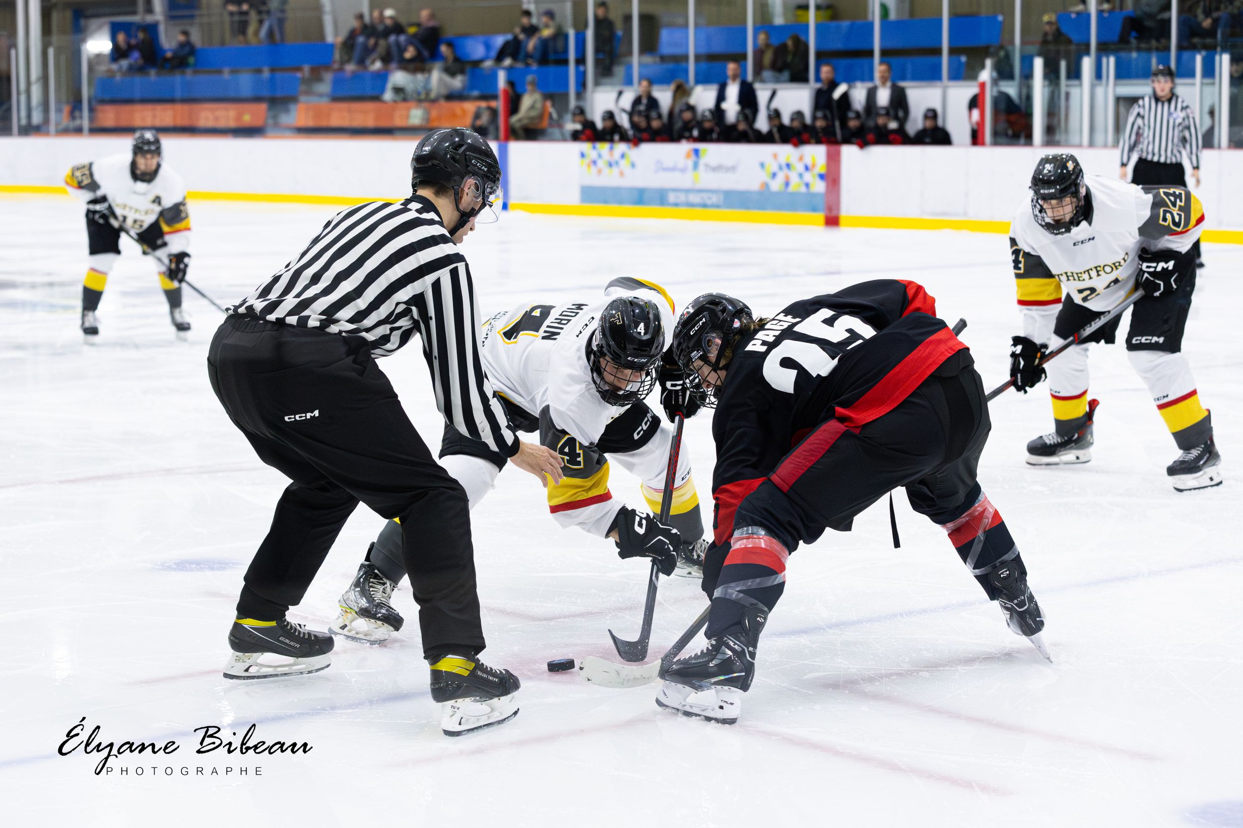 A referee officiates a face-off between two hockey players on the ice rink.