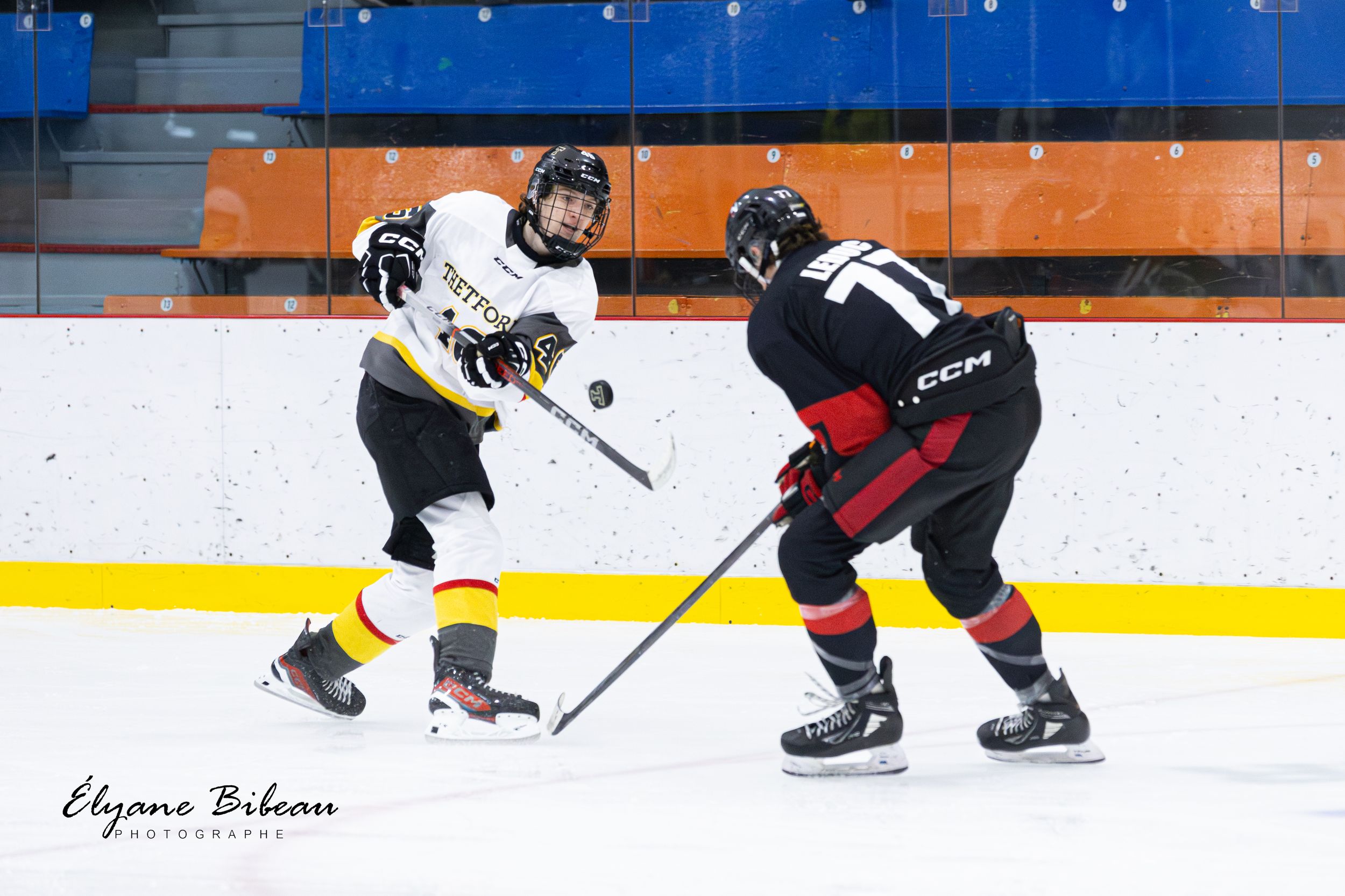 Two hockey players battle for puck control during an intense ice hockey match.