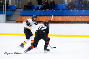 Two ice hockey players compete for puck possession during a game.