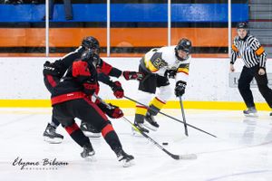 Hockey players from opposing teams compete for the puck as referee watches.