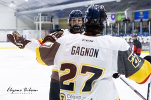 Hockey player wearing jersey number 27 with Gagnon nameplate seen from behind.