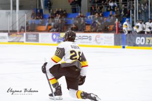 Player wearing number 29 skates during competitive hockey match.