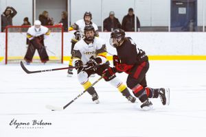 Two hockey players battle for possession during competitive match on ice.