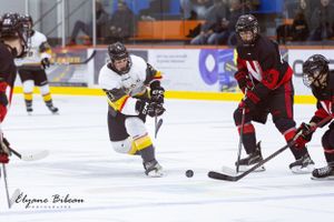 Hockey players from opposing teams compete for puck control during game.