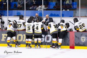 Hockey team players lined up against the boards wearing black and yellow uniforms with numbers showing.