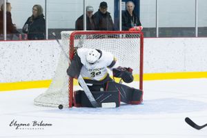 Goalie makes athletic save during intense hockey game action.