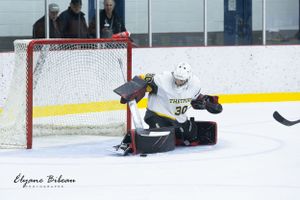 Hockey goalie in jersey number 30 stands during game with teammate.