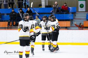 Hockey team in yellow and black jerseys celebrates together on ice during game.