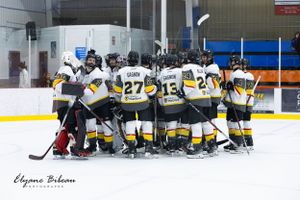 Hockey team huddles together on ice rink wearing black and yellow uniforms.