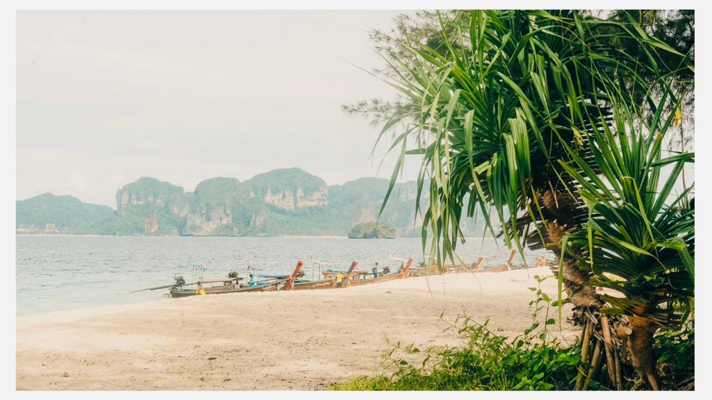 Scenic tropical beach view in Thailand with palm trees framing turquoise waters and limestone cliffs in the distance.
