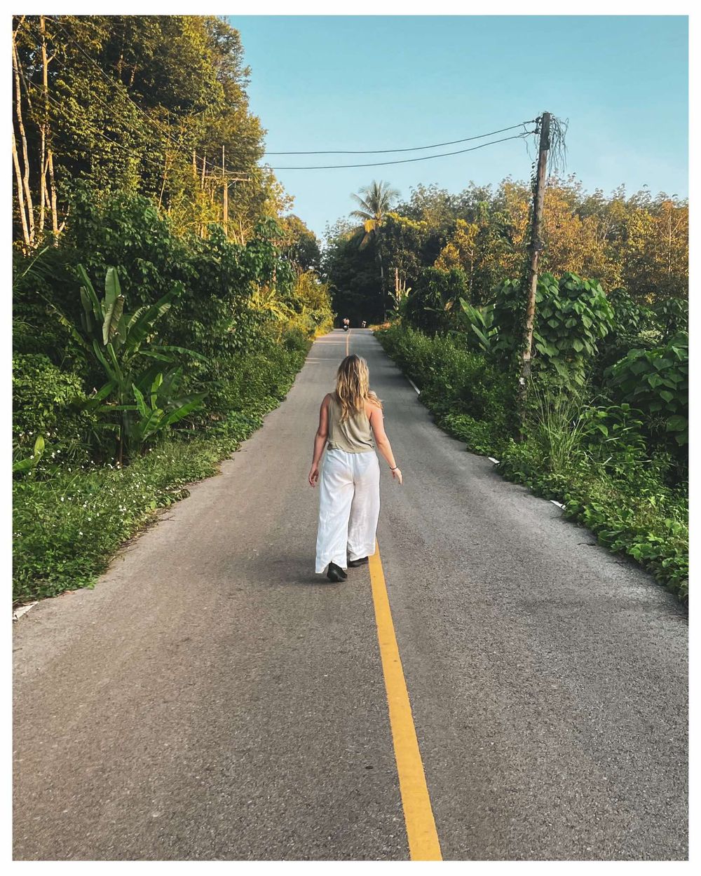Someone walks down a rural road with a yellow center line surrounded by lush tropical vegetation and trees.