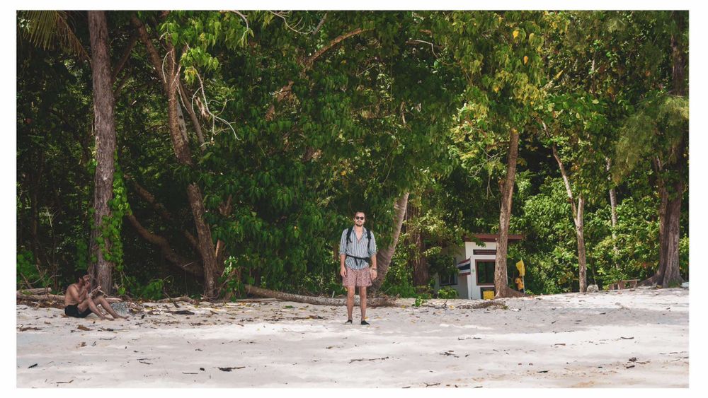 A person in casual attire strolls along a sandy beach path lined with lush tropical trees and greenery.
