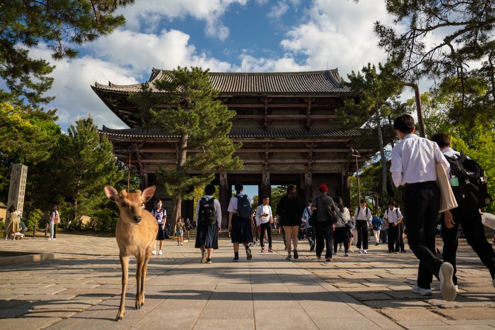 Brown deer walking in front of traditional Japanese temple entrance with visitors.