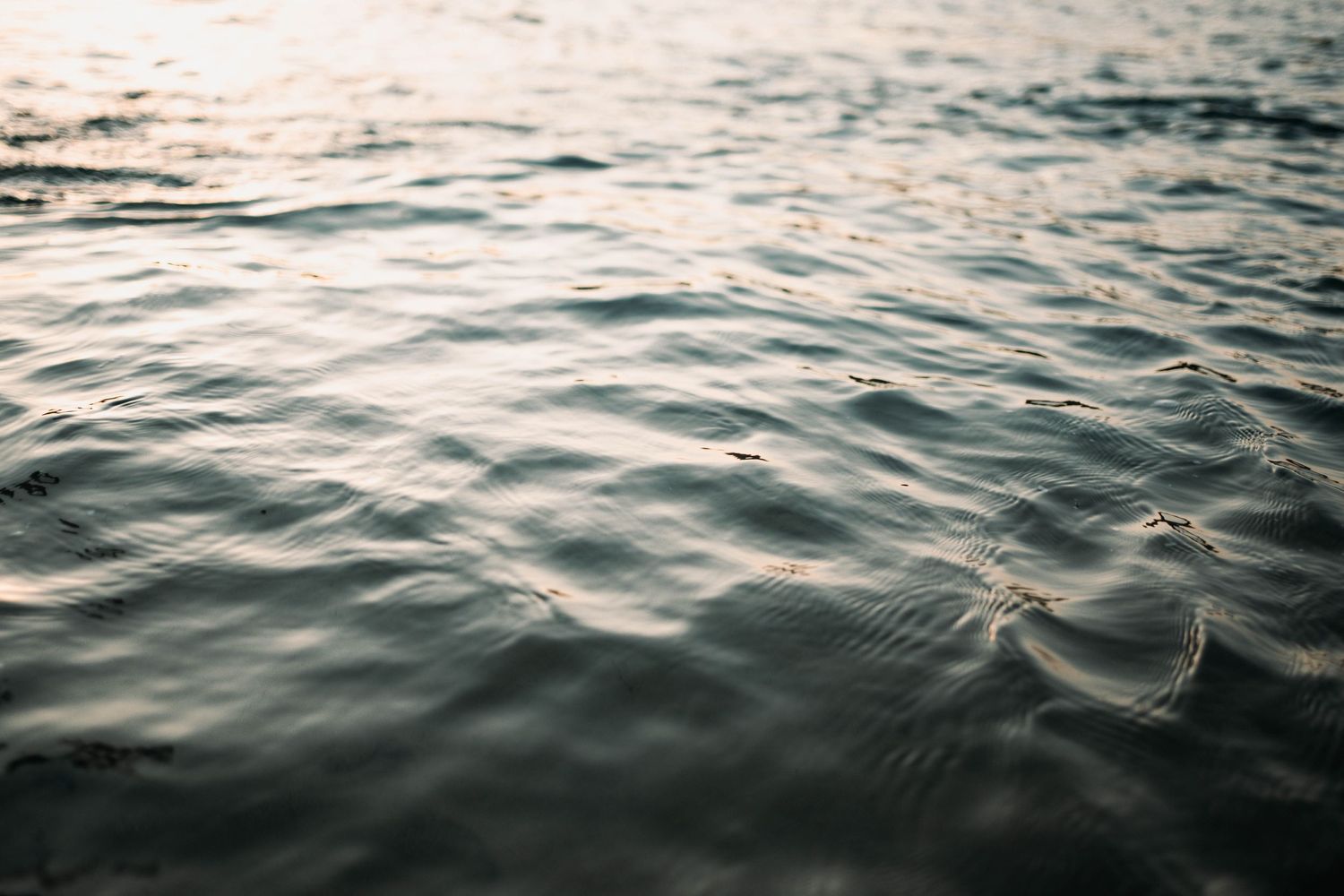 Serene rippling water surface reflecting soft light during sunset or sunrise.