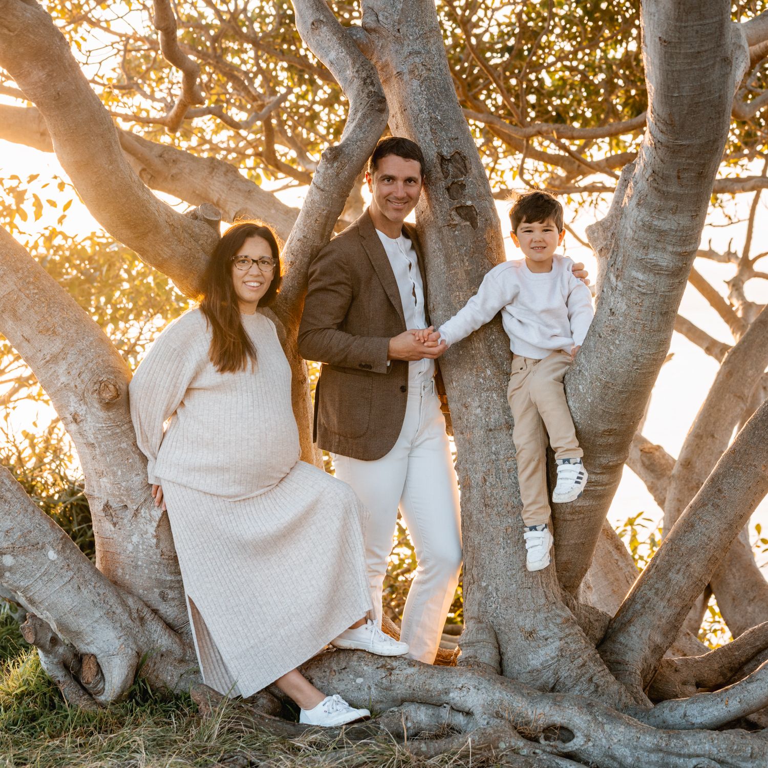 a-pregnant-mom-and-husband-with-a-son-sitting-on-a-tree-during-sunrise-photoshoot-in-sydney-balmoral-beach
