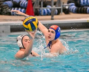 Water Polo, Player defending the ball.
