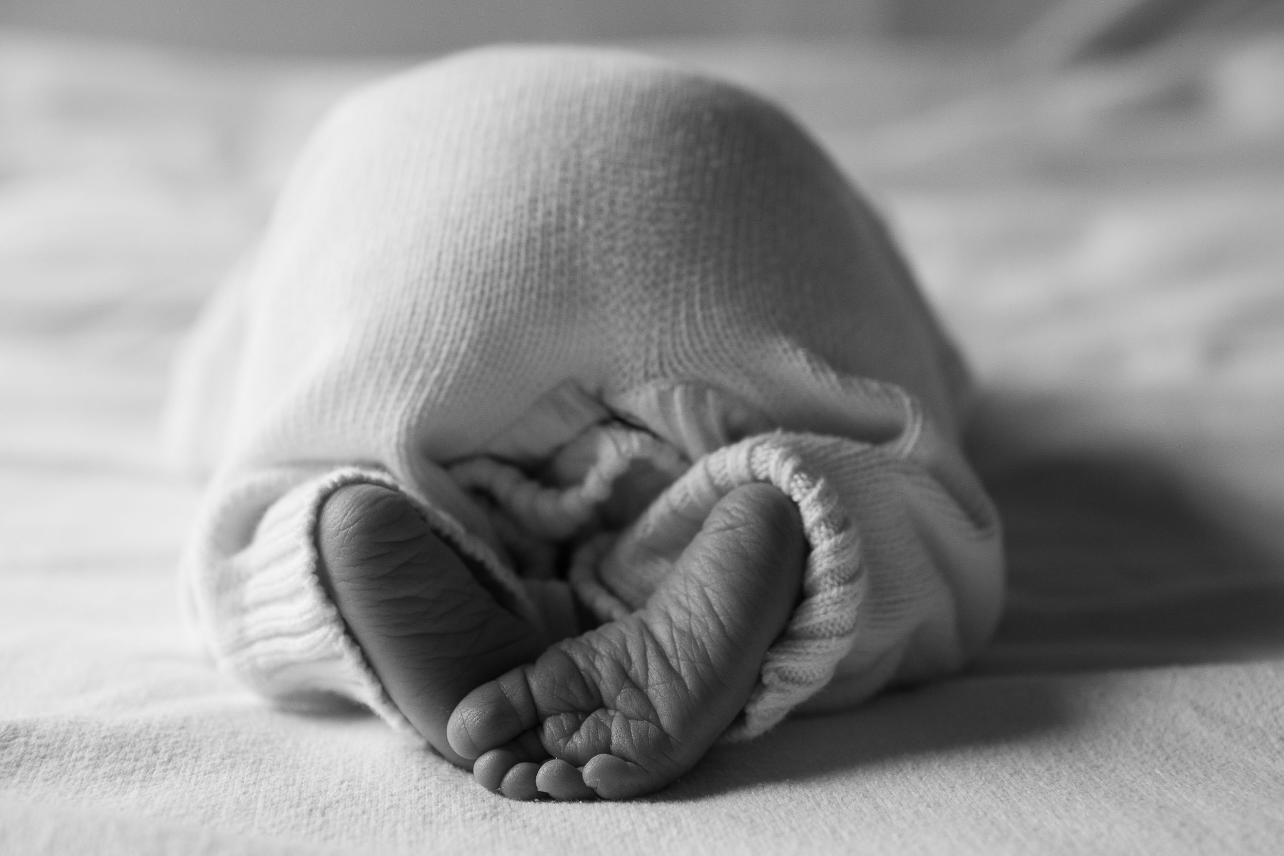 Newborn photographer in Western NC, in asheville NC