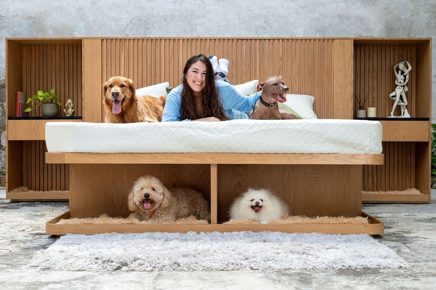 fotografia canina