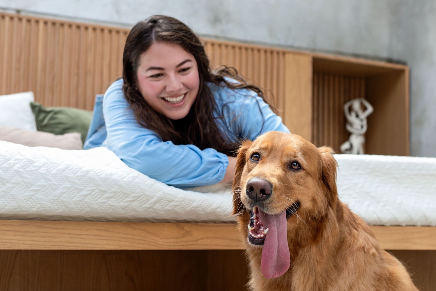 sesiones para perros