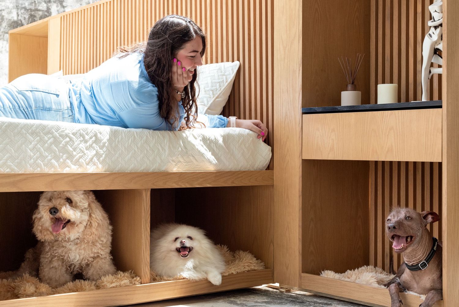sesiones para perros
