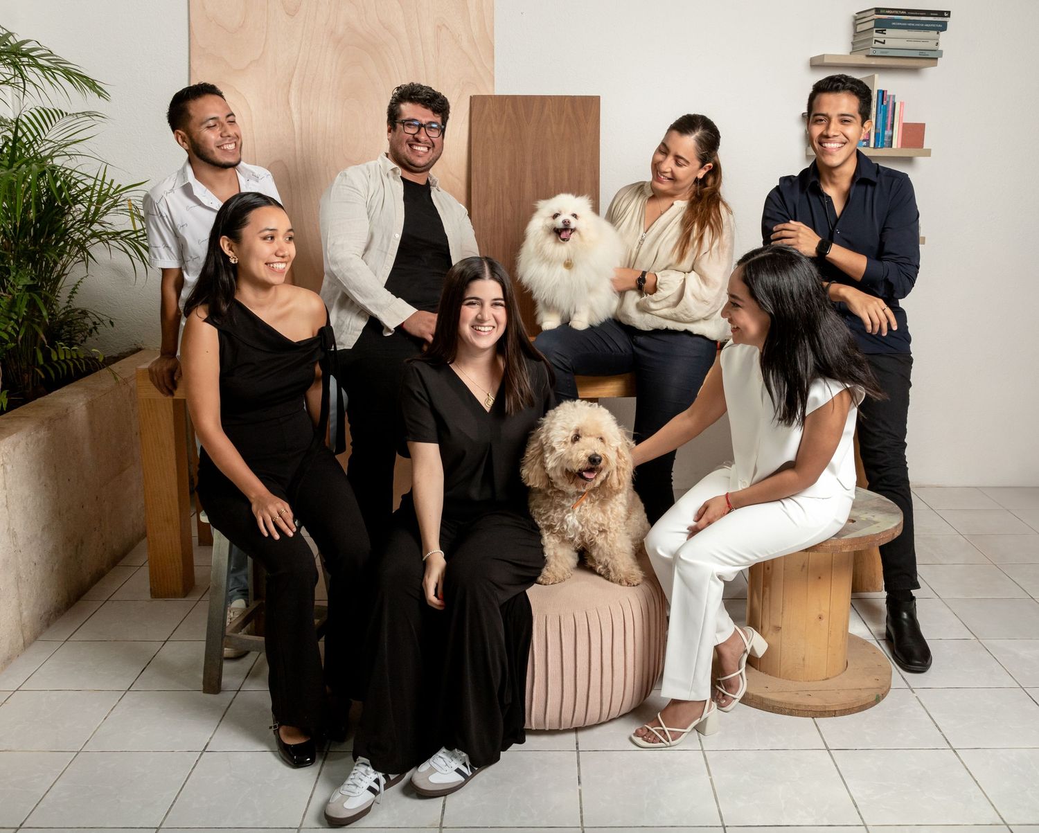 sesiones para perros