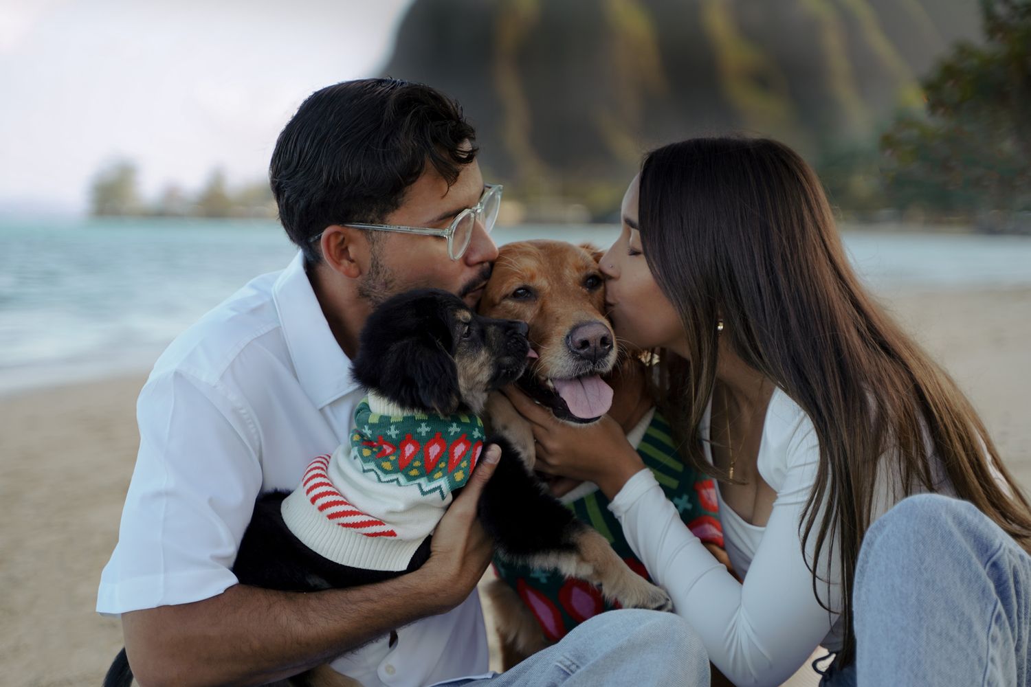 Family photo shoot with dogs at beach