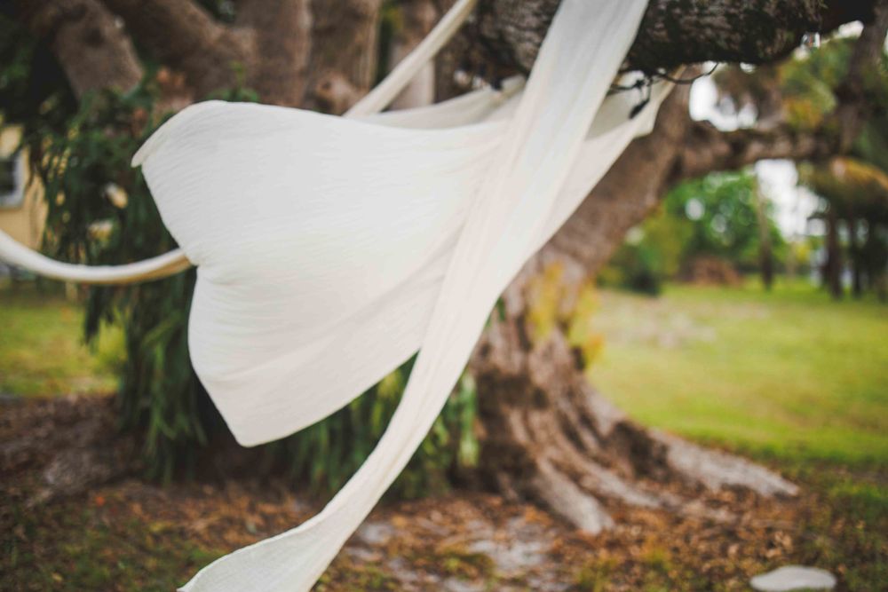White fabric ribbons blowing in the wind against a tree backdrop.